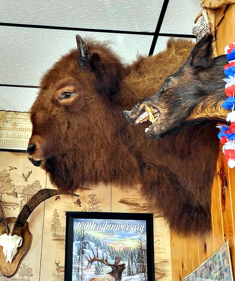 Oscar & Joeys Roadhouse (Chandlers) - From Web Listing For Oscar And Joeys (newer photo)